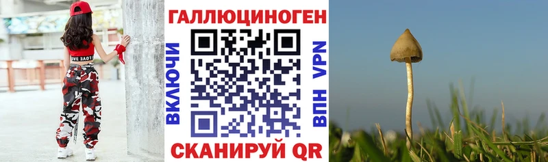 Псилоцибиновые грибы прущие грибы  Купить где  Верея 